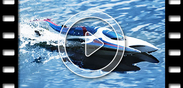 LRP Deep Blue Hydro